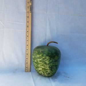 Gourd Seeds- Apple