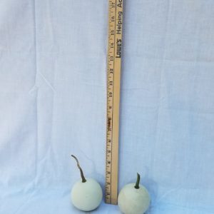 Gourd Seeds - Ball, Small Round