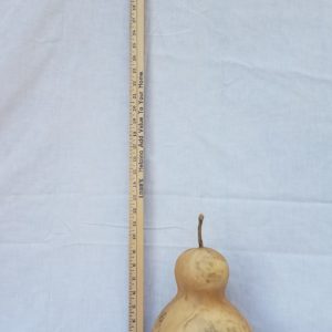 Gourd Seeds - Bottle