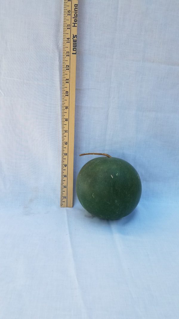 Gourd Seeds- Cannonball