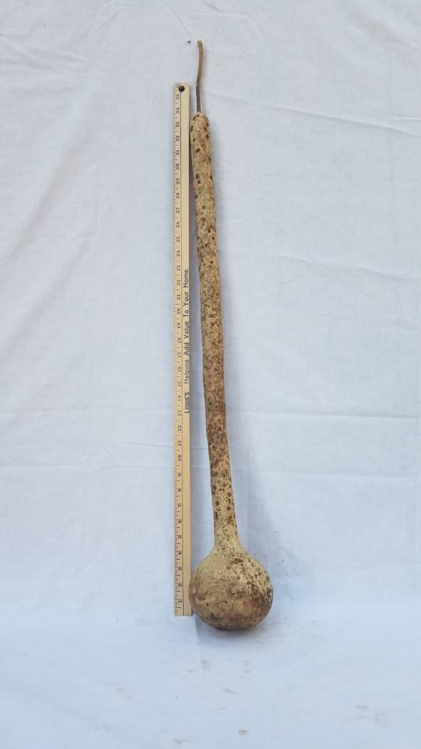 Gourd Seeds- Dipper, Long Handle