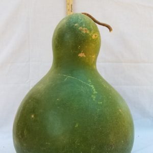 Gourd Seeds - Kettle, African Wine